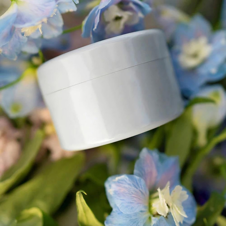 StemGuard™ — Sorge für atemberaubende Blumenpracht, die nie mehr umkippt! (2 Stück)
