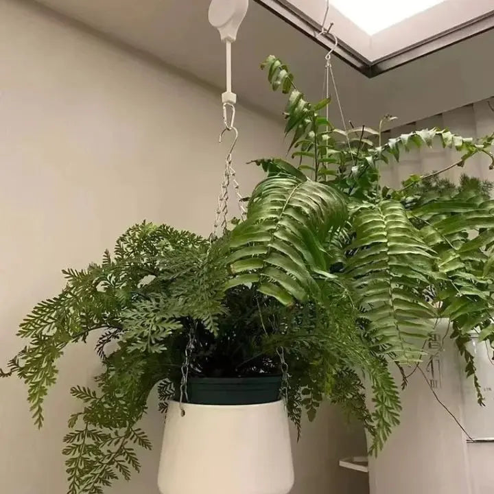 FlexiBloom™ — Hol dir mühelose Pflanzenpflege und ein stylisches Zuhause ohne Rückenschmerzen! (2 Stück)