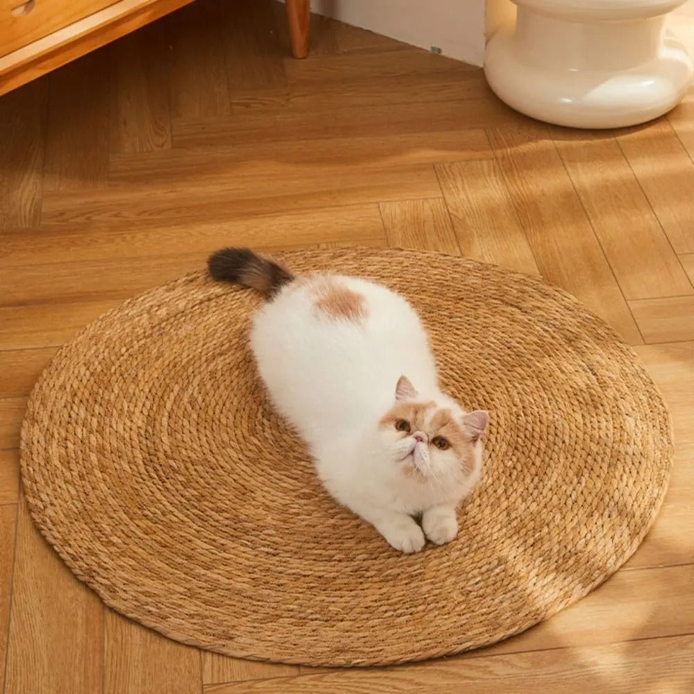 KrazeLuxe Matte — Endlich Ruhe vor Kratzchaos und das Lieblingsplätzchen für deine Katze