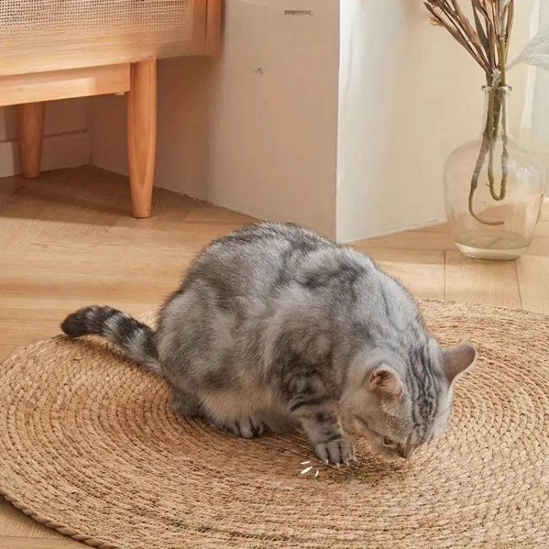 KrazeLuxe Matte — Endlich Ruhe vor Kratzchaos und das Lieblingsplätzchen für deine Katze