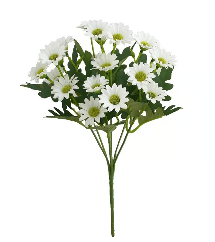 AutumnBlaze — Dein sorgenfreier Gartenhit mit Farben, die jeden Herbst verzaubern!