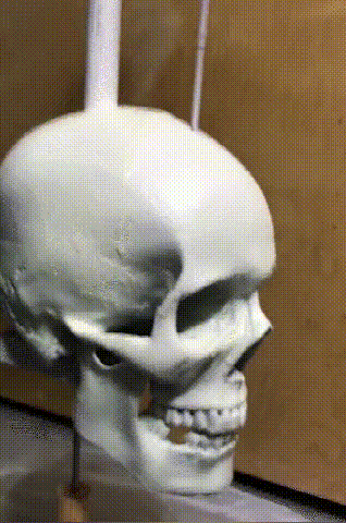 SkullStorm — Verwandle deinen Garten in die spannendste Horror-Show, die deine Nachbarn erschauern lässt!
