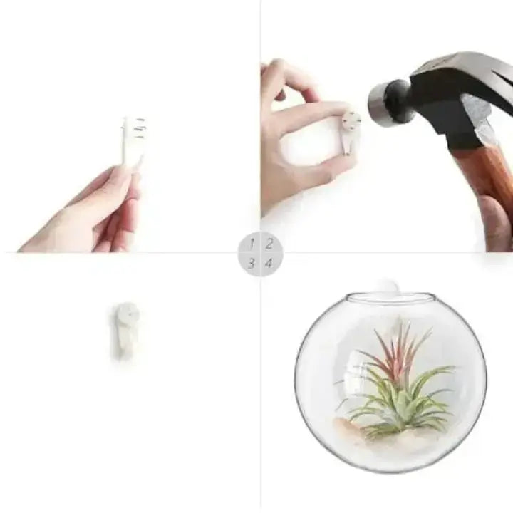GlasOase™ — Bring Deine Wände Zum Leben Mit Frischer Natur-Power Und Stil