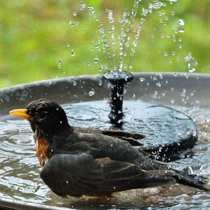 AquaPulse™ — Verwandelt deinen Garten in ein lebendiges Vogelparadies voller entspannender Wasserzauber