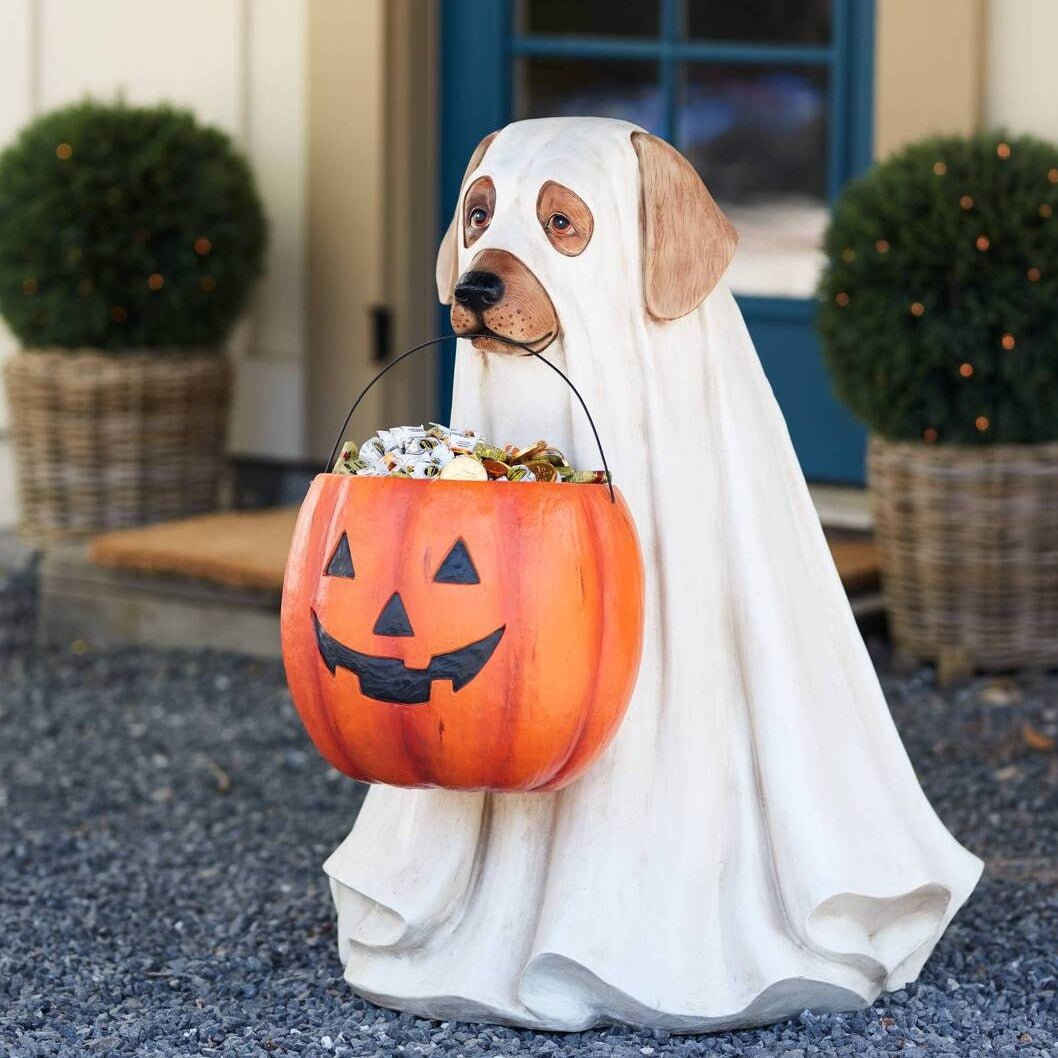 SpukBuddy — Verzaubere Deine Halloween-Nacht mit unwiderstehlichem Grusel-Charme!