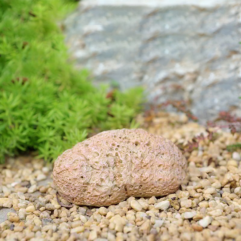 RockGuard™ — Verstecke deine Schlüssel so clever, dass kein Dieb je daran denkt zu suchen!