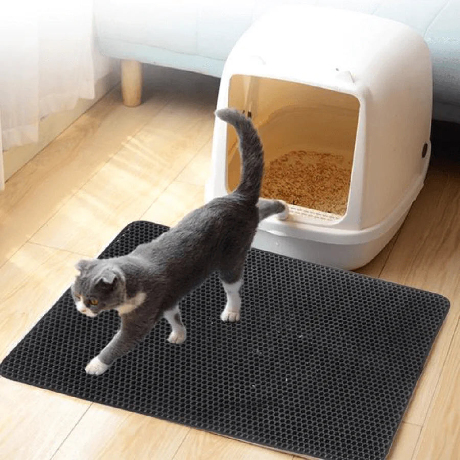 StreuChampion — Endlich ein kuschelig sauberes Zuhause ohne Katzenstreu-Chaos!
