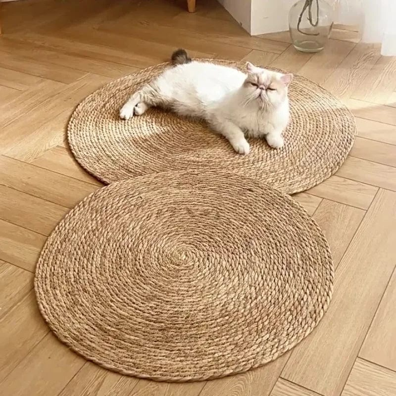 KrazeLuxe Matte — Endlich Ruhe vor Kratzchaos und das Lieblingsplätzchen für deine Katze