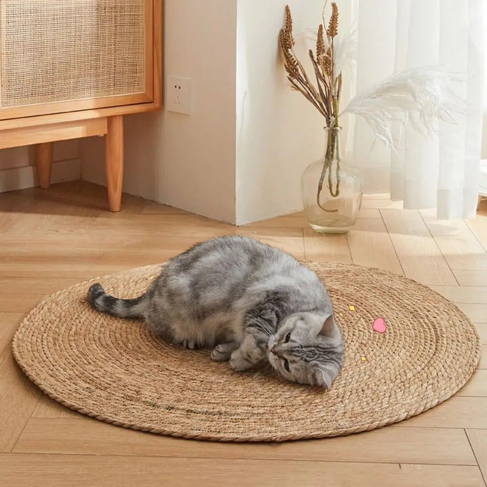 KrazeLuxe Matte — Endlich Ruhe vor Kratzchaos und das Lieblingsplätzchen für deine Katze