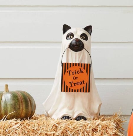 SpukBuddy — Verzaubere Deine Halloween-Nacht mit unwiderstehlichem Grusel-Charme!