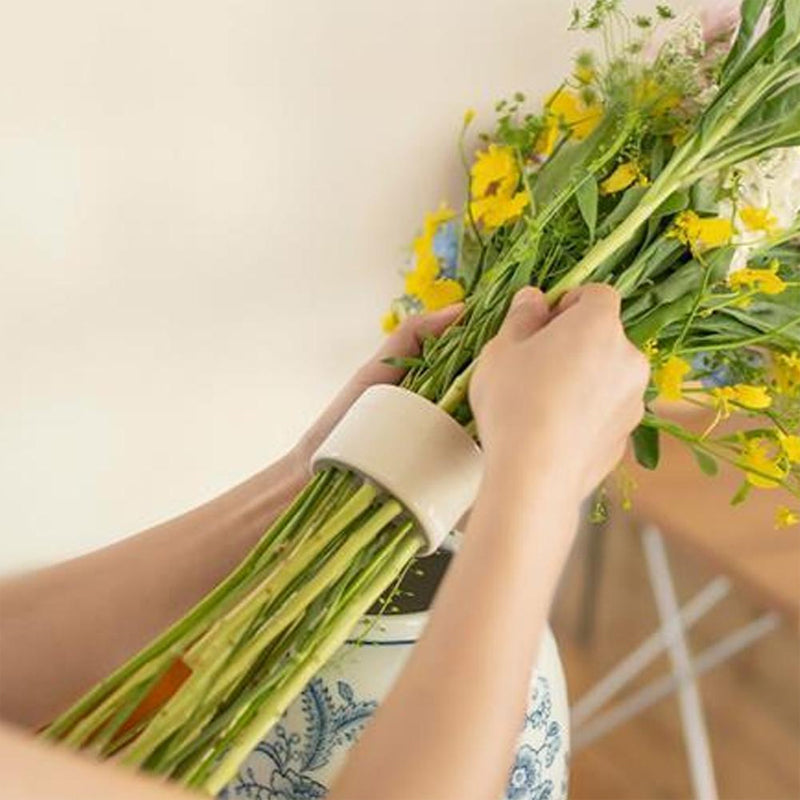 StemGuard™ — Sorge für atemberaubende Blumenpracht, die nie mehr umkippt! (2 Stück)