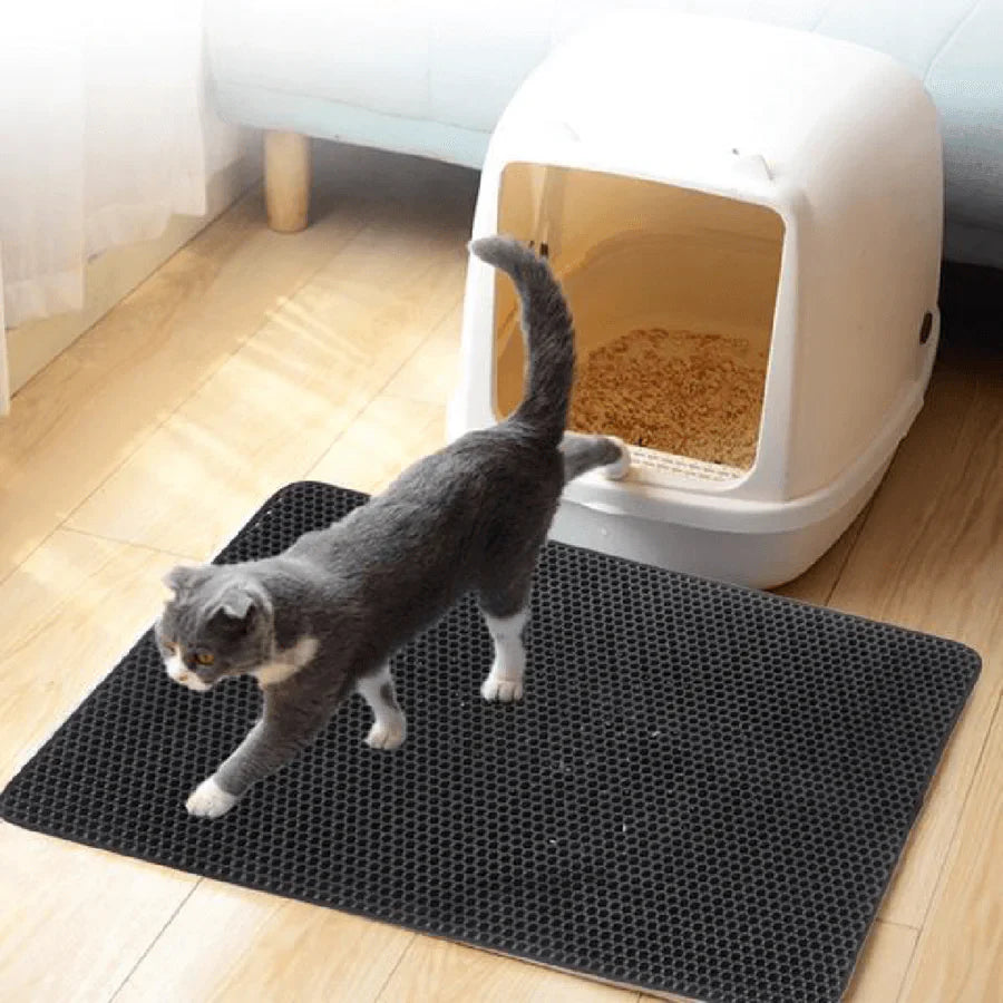 StreuChampion — Endlich ein kuschelig sauberes Zuhause ohne Katzenstreu-Chaos!