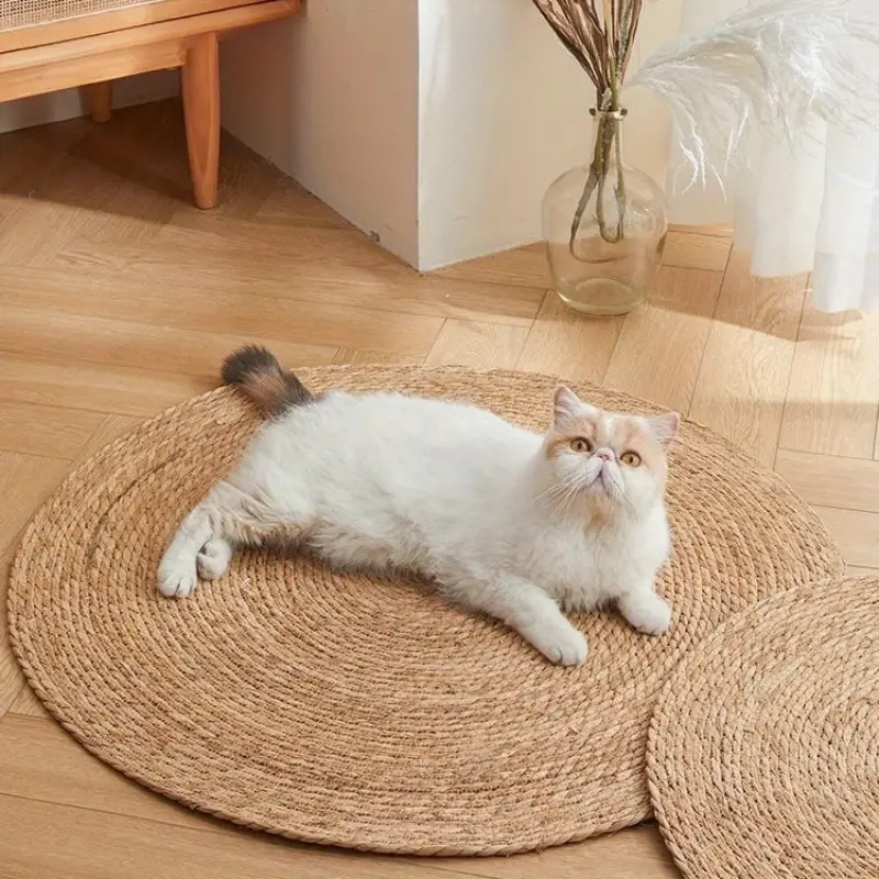 KrazeLuxe Matte — Endlich Ruhe vor Kratzchaos und das Lieblingsplätzchen für deine Katze