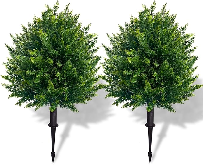VivaCedar — Bring dauerhaft lebendige Frische und Style in Deinen Raum – ganz ohne Aufwand!