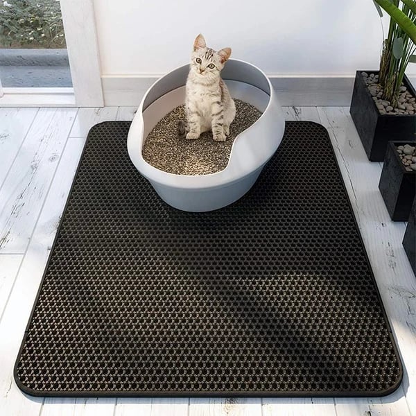 StreuChampion — Endlich ein kuschelig sauberes Zuhause ohne Katzenstreu-Chaos!