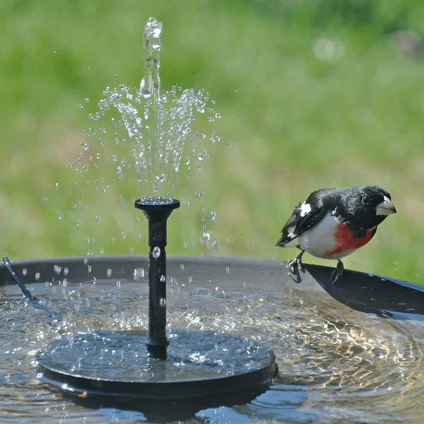 SolarSprudelX — Mach deinen Garten zur atemberaubenden Natur-Oase voller Leben und Magie!