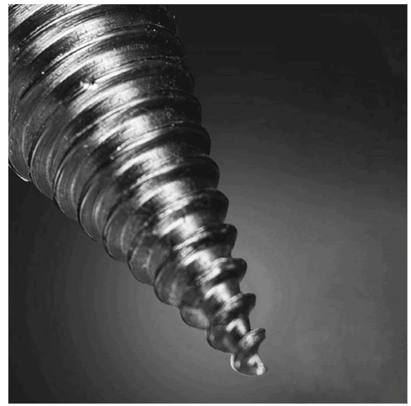 Woody™ - Holzbohrer