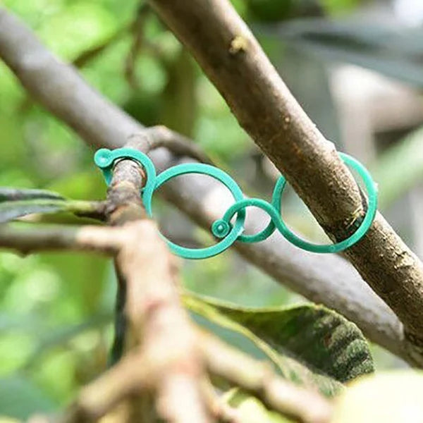 Pflanzenhalter für den Garten - Damit wachsen die Pflanzen wie Sie es wollen!