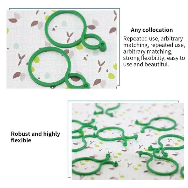 Pflanzenhalter für den Garten - Damit wachsen die Pflanzen wie Sie es wollen!