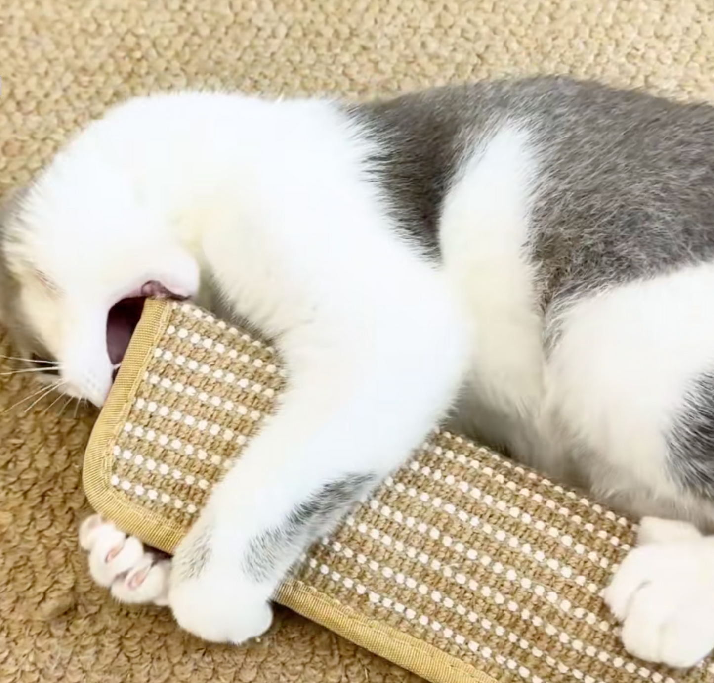 Krallex® — Entfessle das wilde Jagdfieber Deiner Katze für stundenlangen Spielspaß und gesunde Zähne
