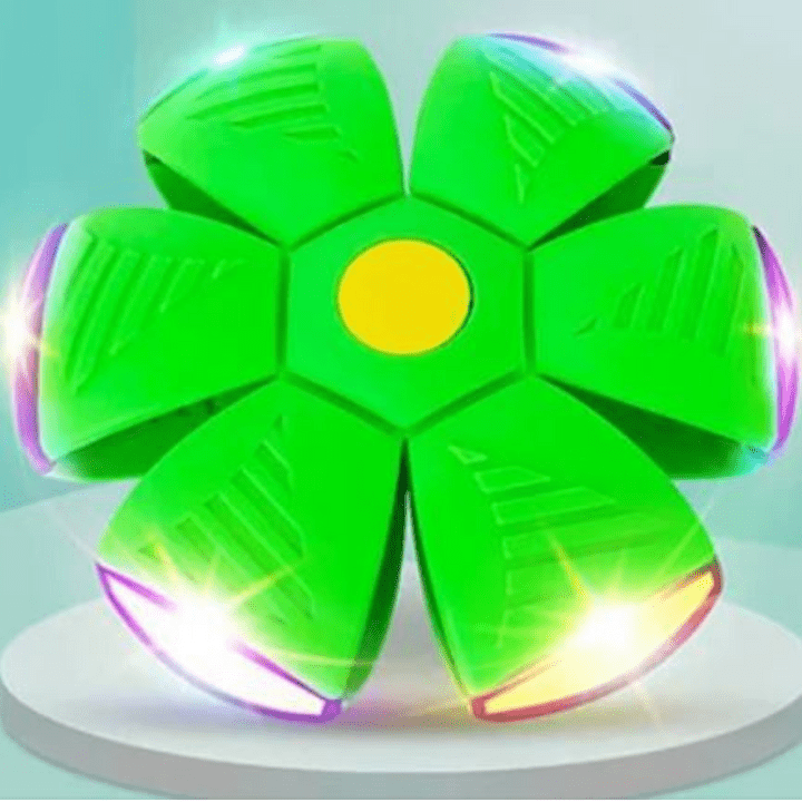 Rasante FidoJagdlet — Entfache pure Spielfreude und Power in jedem Hundeblick!