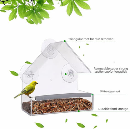 WildVida — Erlebe pure Naturmagie und finde deine tägliche Ruheoase am Fenster