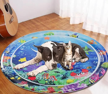 FelineSplash — Entfessle die wilde Jagdfreude deiner Katze ohne Chaos und Stress!
