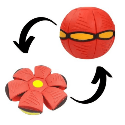 Rasante FidoJagdlet — Entfache pure Spielfreude und Power in jedem Hundeblick!