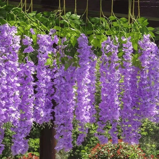 Hängeblumen - Stelle dir deine Traumblumen zusammen!