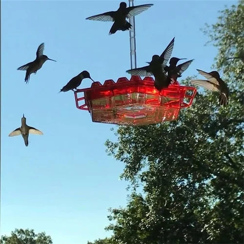 VogelFlair — Verwandelt Deinen Garten in ein magisches Paradies voller tanzender Kolibris ohne Plagegeister