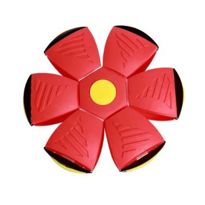 Rasante FidoJagdlet — Entfache pure Spielfreude und Power in jedem Hundeblick!