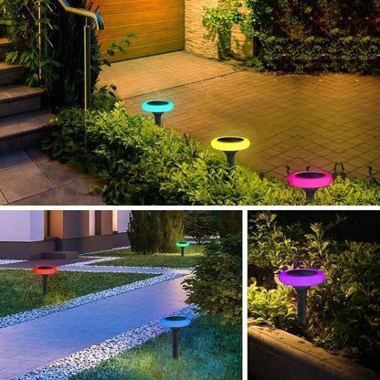 SolaraDazzle — Verwandle Deinen Garten in ein magisches Farbfeuerwerk, das alle Blicke fesselt!