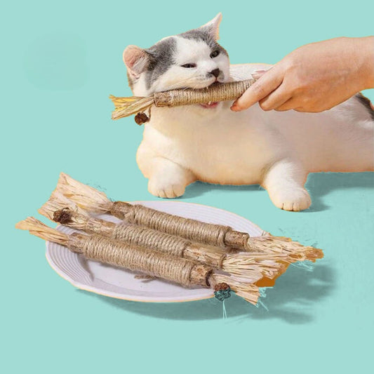 (1+1 Gratis) - CatCare - Cat Dental Kit - Das Zahnpflege-Set für Ihren Katzenfreund!