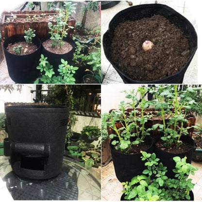 GrowMaster Pro — Mehr Power für deine Pflanzen, damit deine Ernte alle staunen lässt!