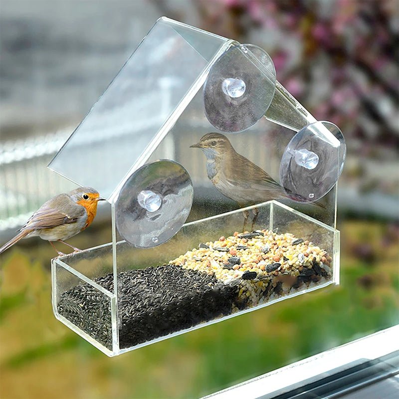 WildVida — Erlebe pure Naturmagie und finde deine tägliche Ruheoase am Fenster