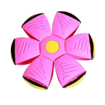 Rasante FidoJagdlet — Entfache pure Spielfreude und Power in jedem Hundeblick!