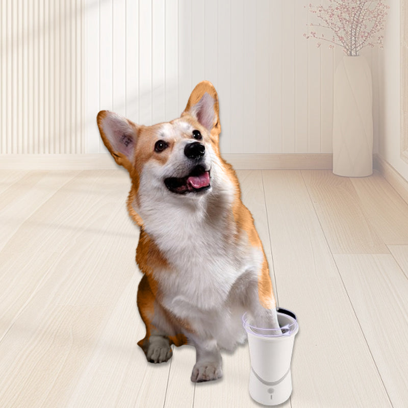 PawPerfection — Saubere Pfoten, stressfreie Spaziergänge voller Wohlfühlmomente