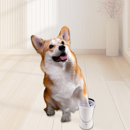 PawPerfection — Saubere Pfoten, stressfreie Spaziergänge voller Wohlfühlmomente