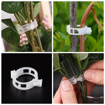 VitaGrip Clips — Starker Halt für prächtige Pflanzen, die stolz wachsen und gedeihen