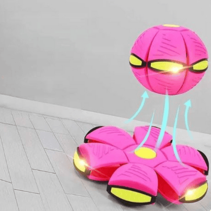 Rasante FidoJagdlet — Entfache pure Spielfreude und Power in jedem Hundeblick!