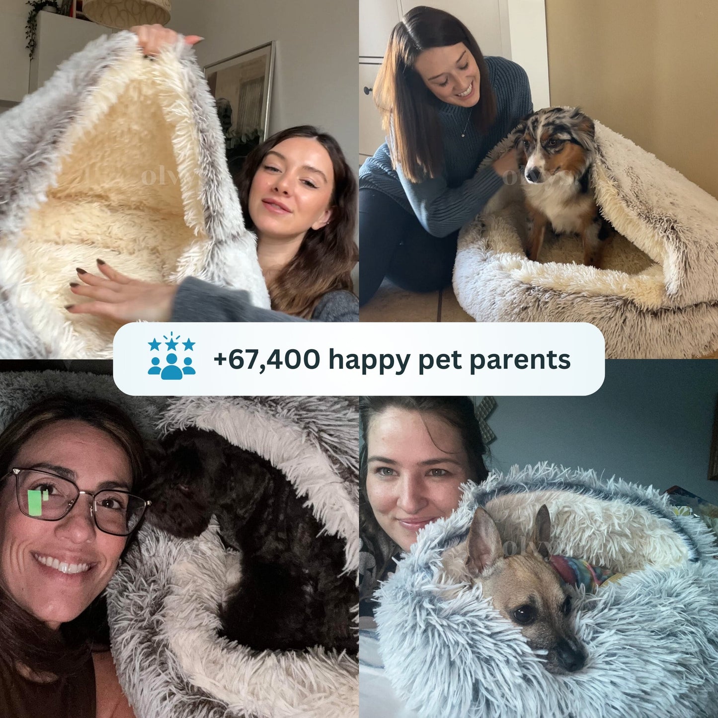 ComfyNest — Mach dein Haustier zum König seines eigenen Kuschelparadieses!