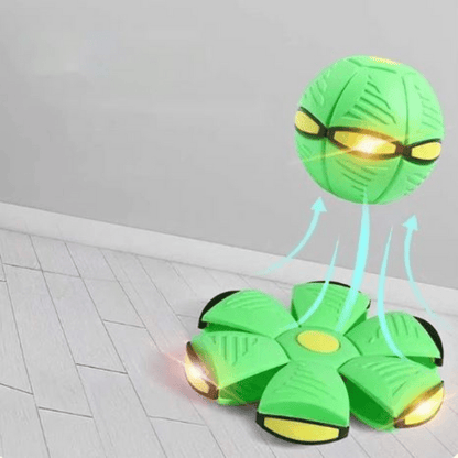 Rasante FidoJagdlet — Entfache pure Spielfreude und Power in jedem Hundeblick!