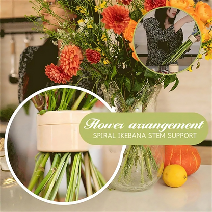 StemGuard™ — Sorge für atemberaubende Blumenpracht, die nie mehr umkippt! (2 Stück)