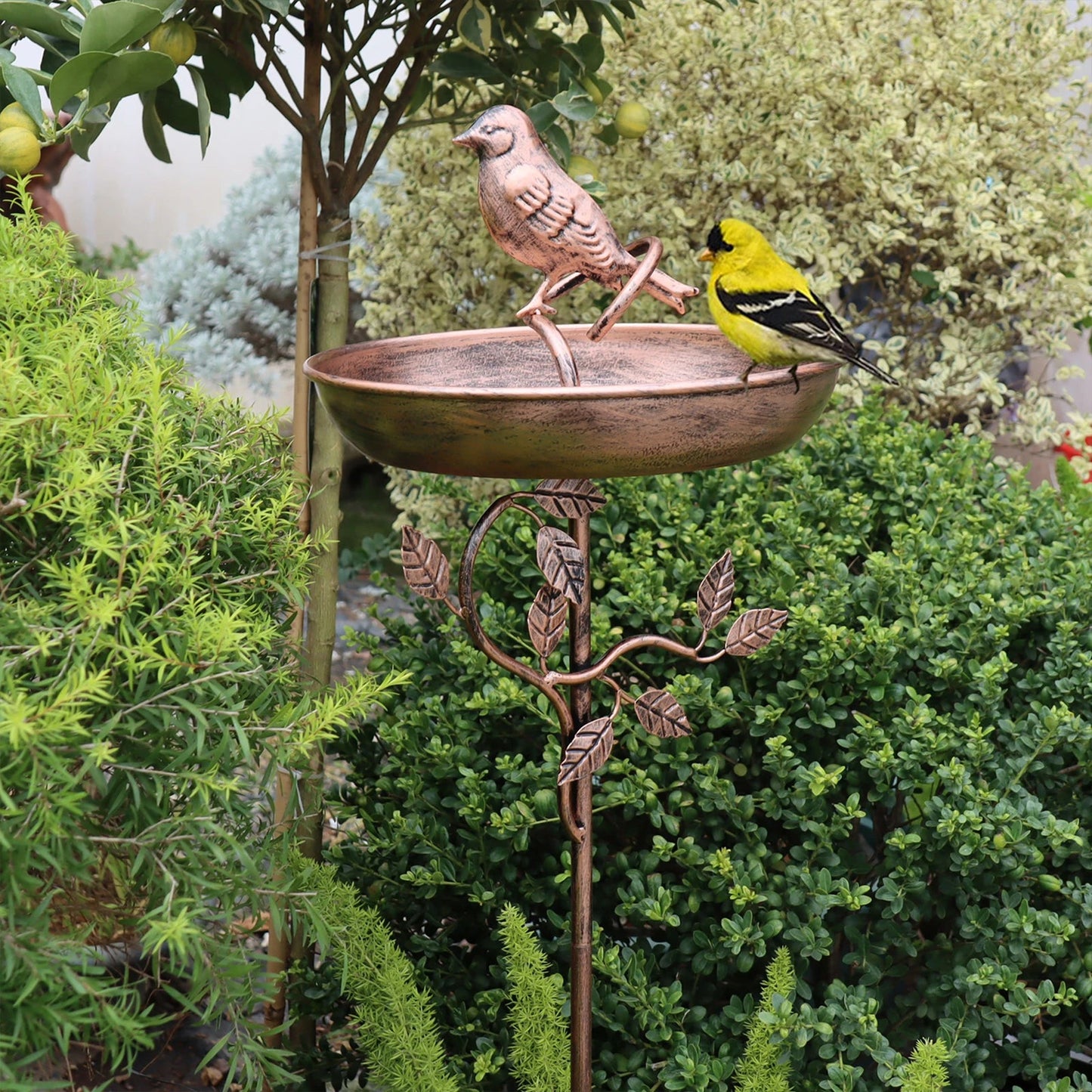Vogelzauber-Oase "CopperLure" — Verwandelt Deinen Garten in ein magisches Vogelparadies voller Leben und Charme
