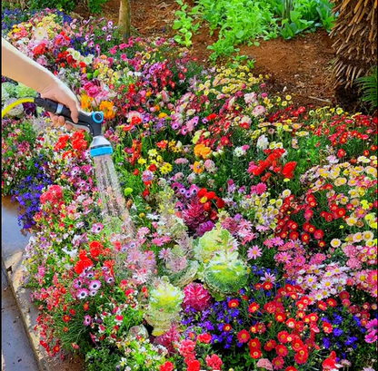 BlütenPracht™ — Ganzjährig farbenfrohes Gartenparadies