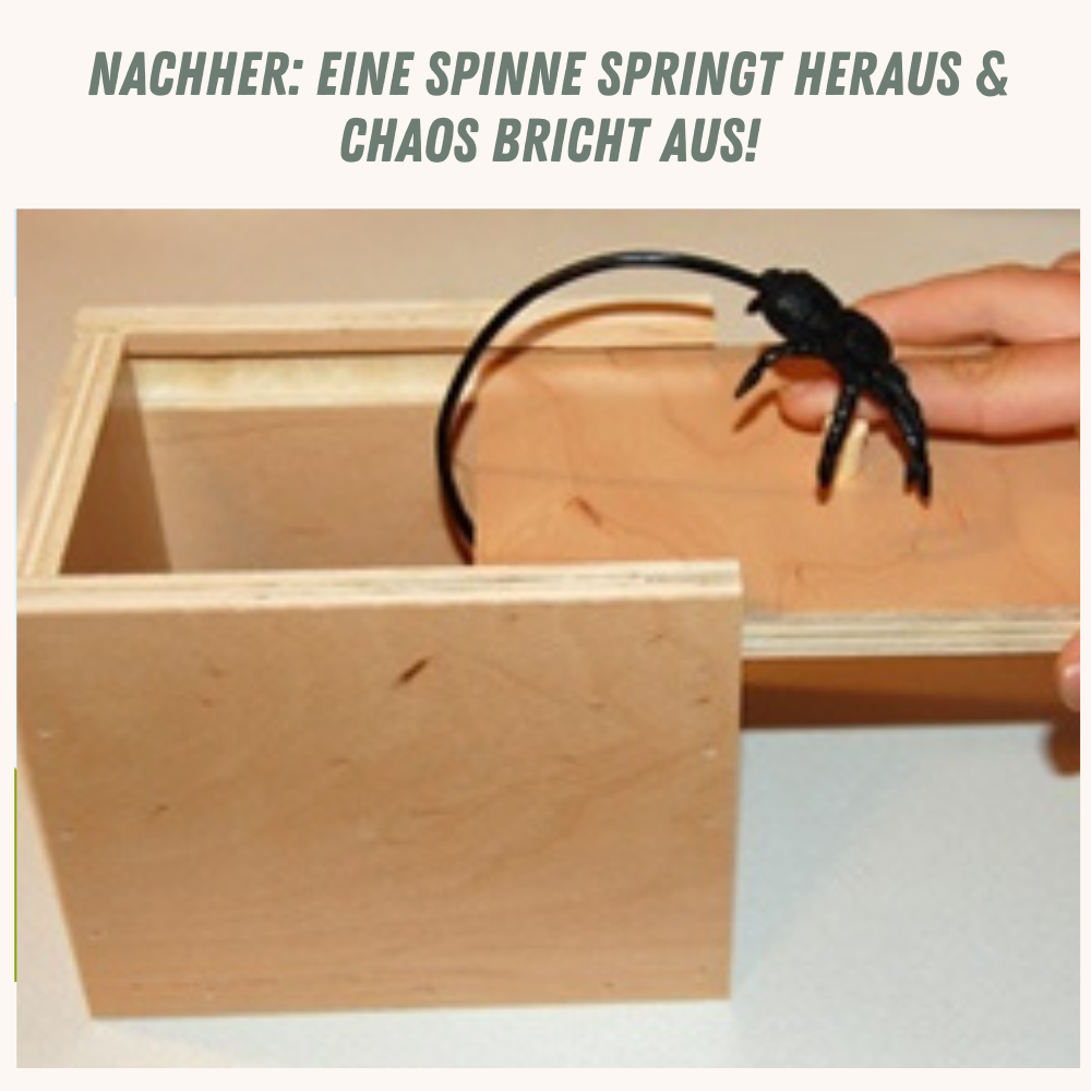 ShockNest — Explosive Überraschung, die jede Party zum unvergesslichen Lach-Krimi macht!