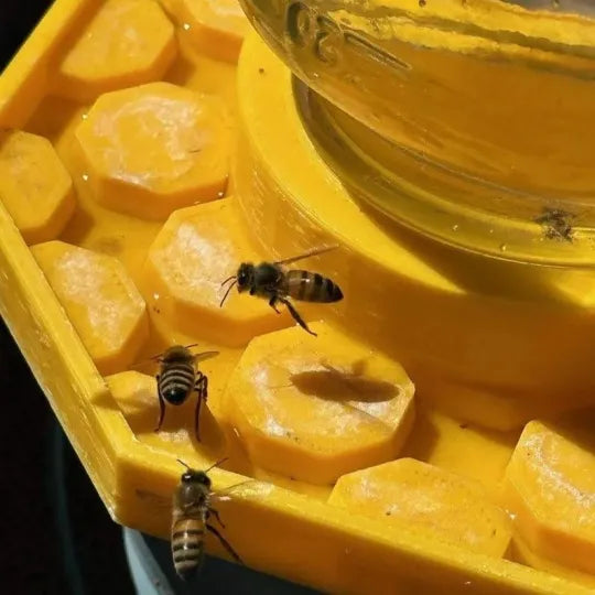 BeeSafeWell — Macht deinen Garten zur sicheren Trink-Oase, die Bienen lebendig hält!
