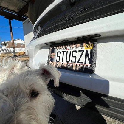 GrimmGlow — Verwandelt Dein Fahrzeug in den strahlenden Star jeder Halloween-Feier!