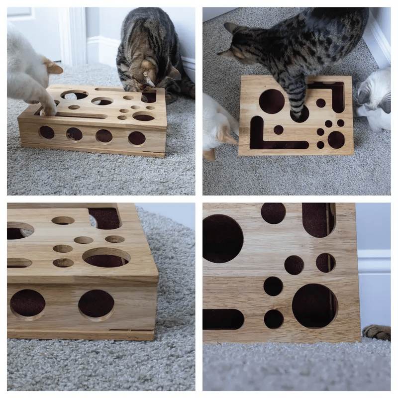 KralleSpaß — Verwandle Nagelpflege in stressfreies Katzenspiel und schütze liebevoll Deine Möbel!