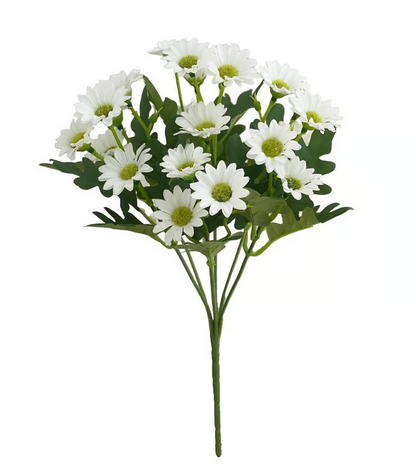 AutumnBlaze — Dein sorgenfreier Gartenhit mit Farben, die jeden Herbst verzaubern!